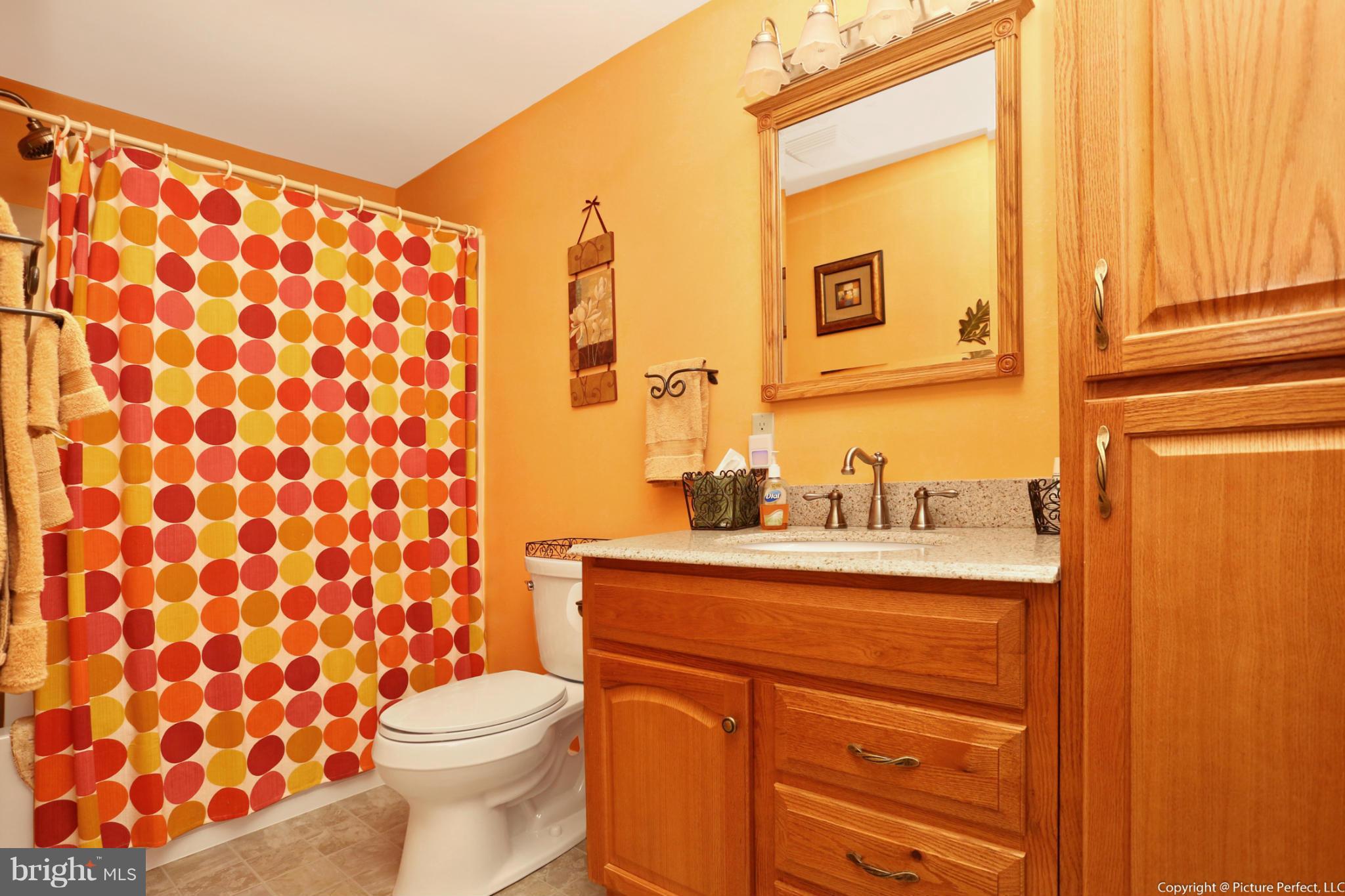 6414 Spring Forest Road Frederick, MD 21701 - Photo 24 of 30 Lower Level Bath