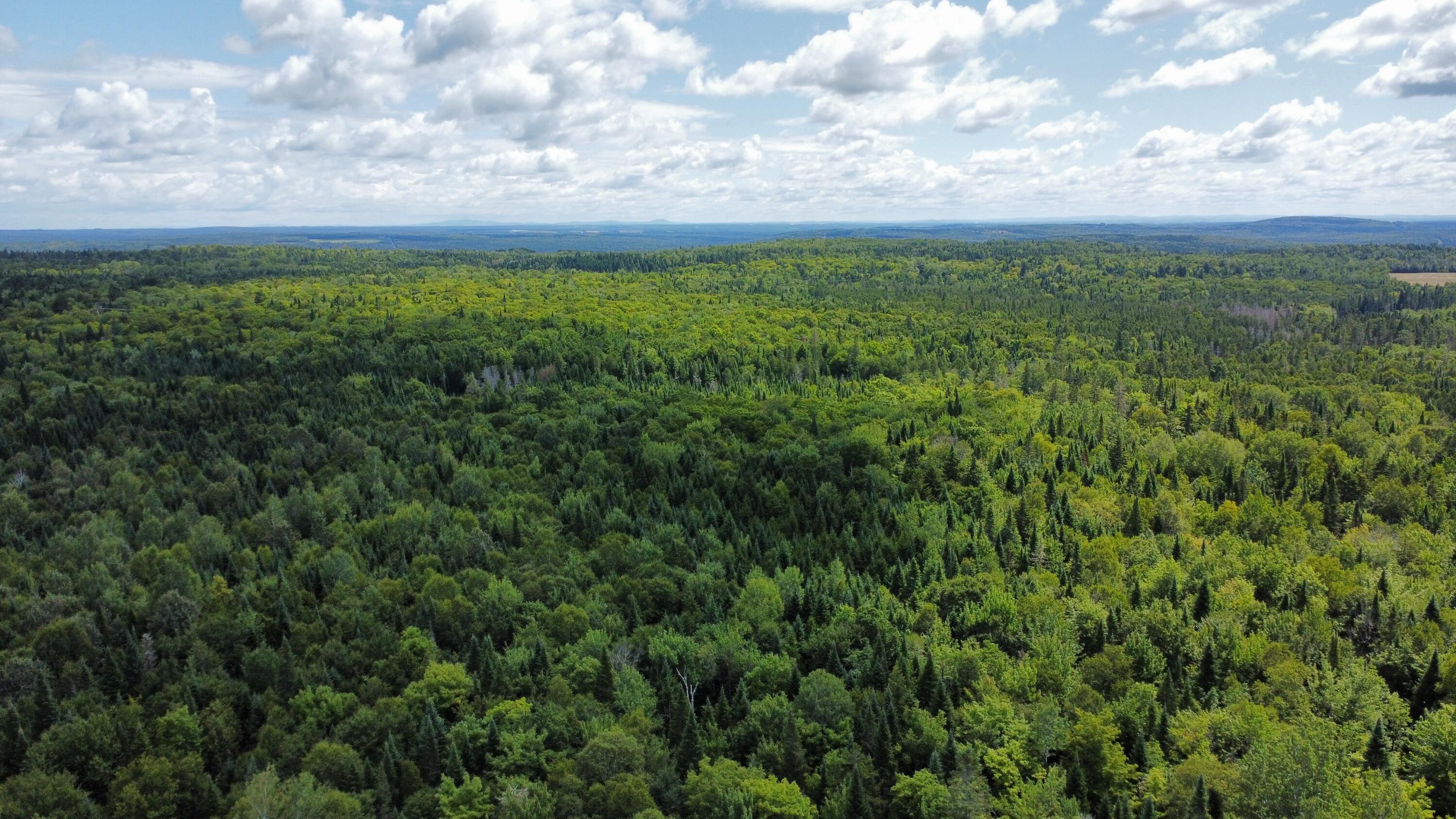 1075 W Road New Sweden, ME 04762 - Photo 16 of 150 dji_fly_20260814_120050_643_178672996737