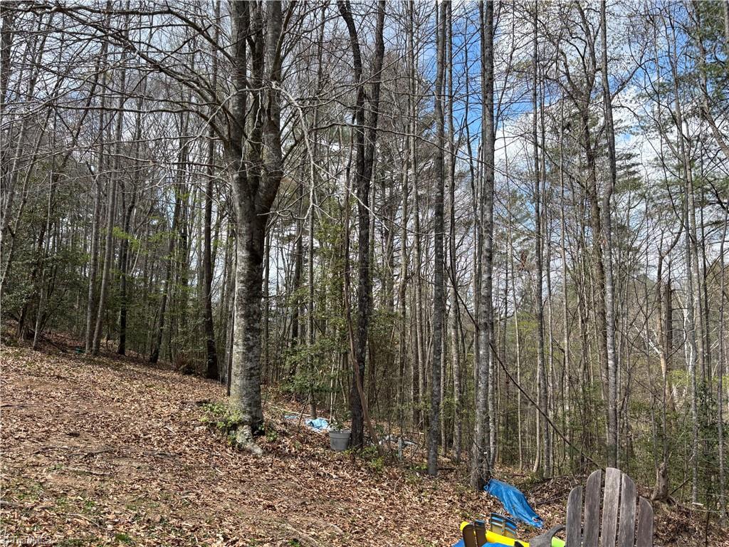 647 Boone Gap Road Boomer, NC 28606 - Photo 14 of 22