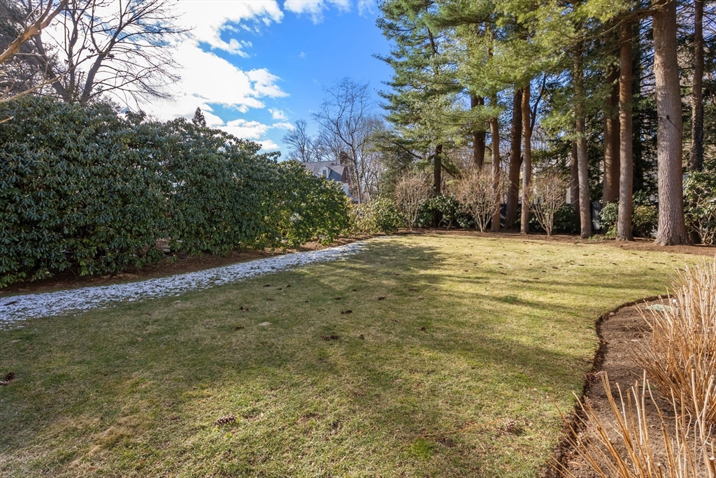 123 Abbott Road Wellesley, MA 02481 - Photo 2 of 42 a view of a yard with an trees