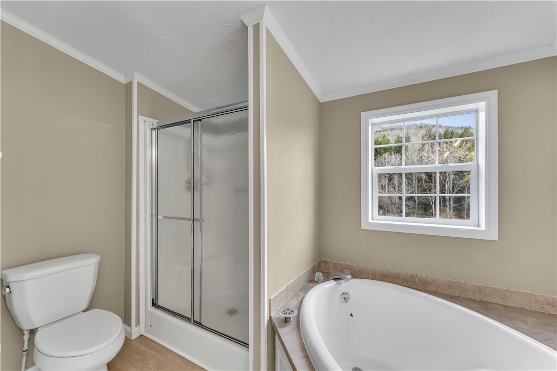12082 State Highway Walton, NY 13856 - Photo 18 of 28 Shower and soaking tub