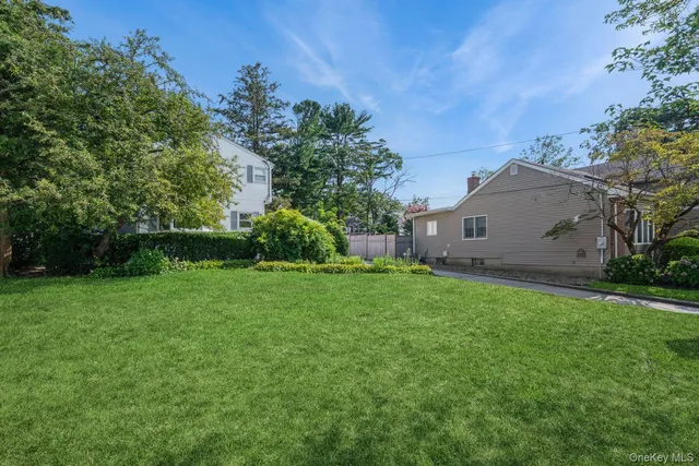 a view of a backyard with potted plants and large tree