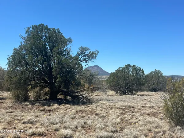 a view of a covered with snow in the background