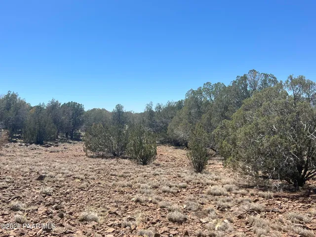 a view of a covered with snow on the road