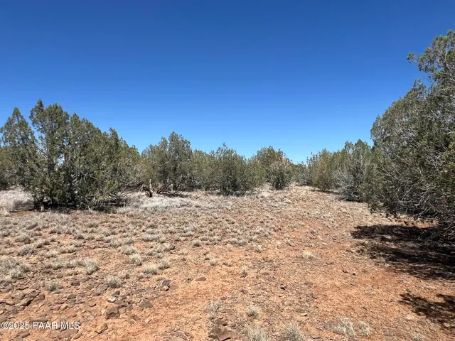 a view of a large outdoor space with mountain view