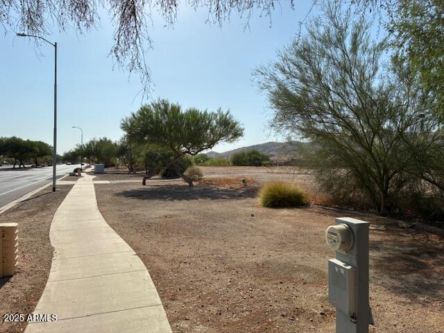 2803 East Baseline Road Phoenix, AZ 85042 - Photo 4 of 6 a view of a yard with plants