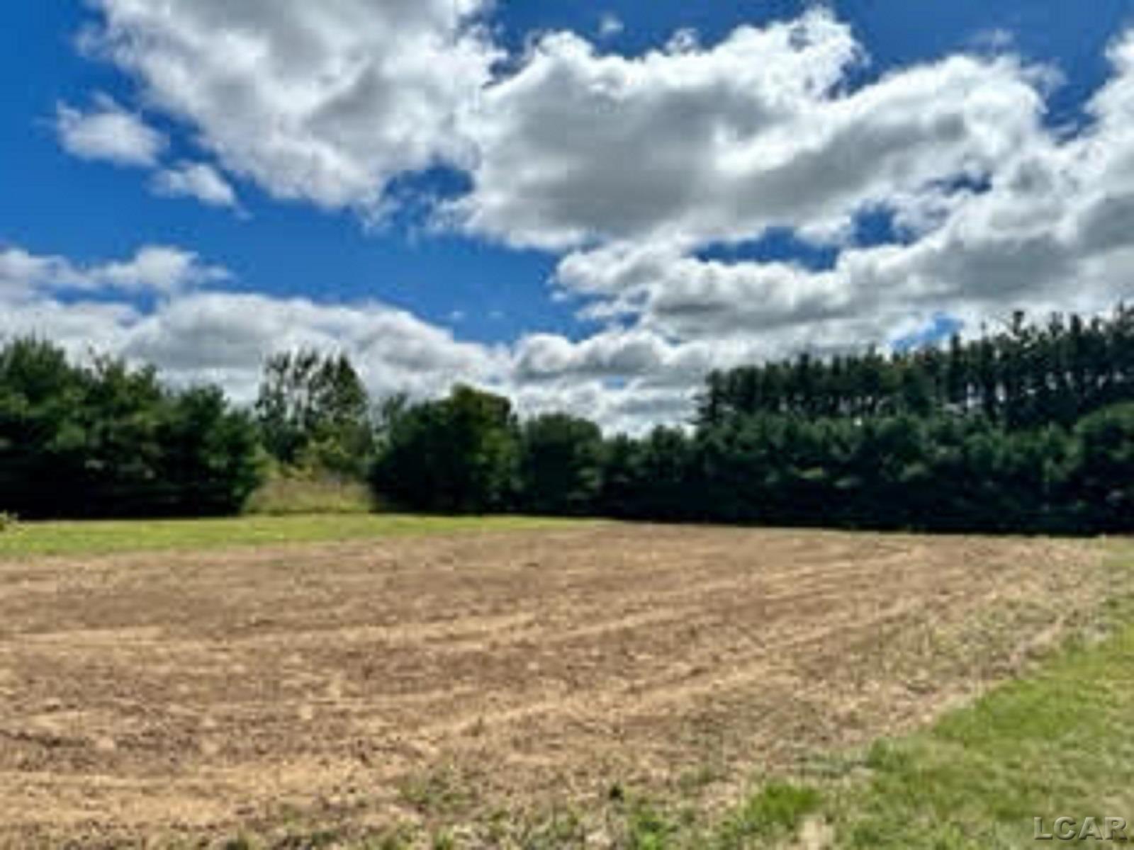 2545 Sharp Road Adrian, MI 49221 - Photo 6 of 14