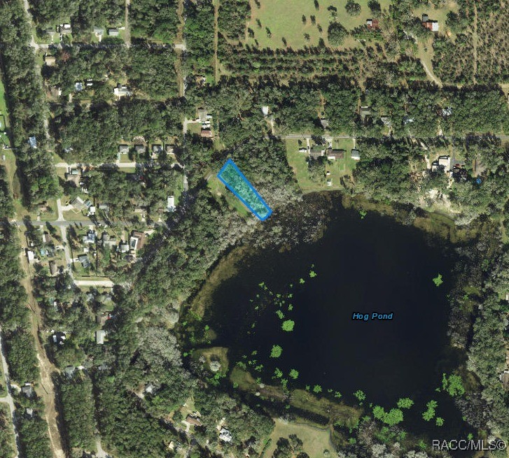 3418 East Perry Street Inverness, FL 34453 - Photo 2 of 6