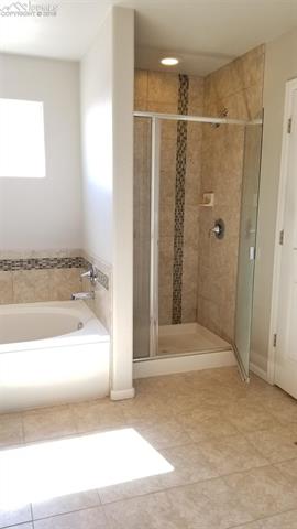 8266 Watchmen Road Fountain, CO 80817 - Photo 17 of 20 Master bath with tub and free standing shower