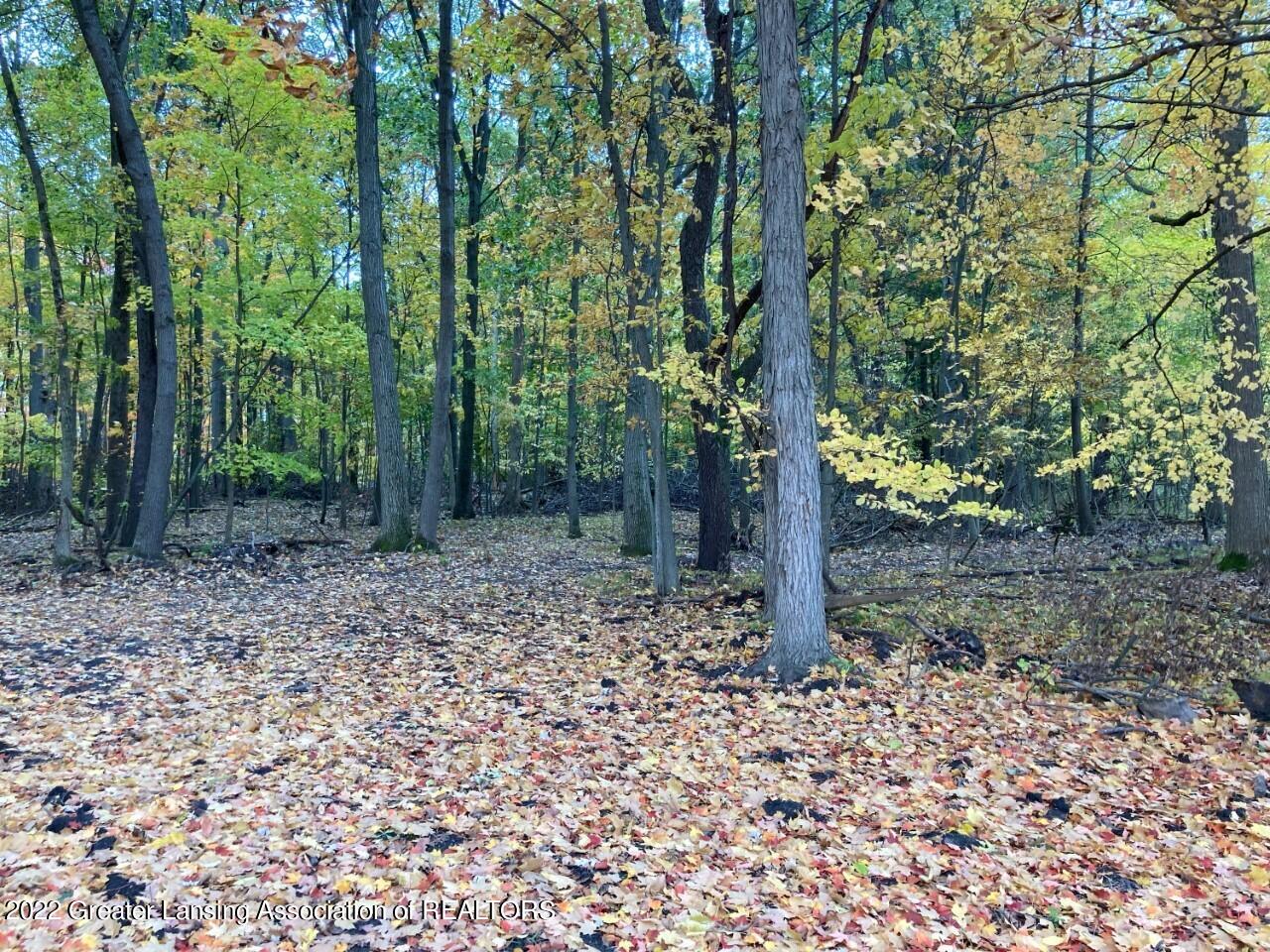 0 East Maple Rapids Road Elsie, MI 48831 - Photo 4 of 7 land