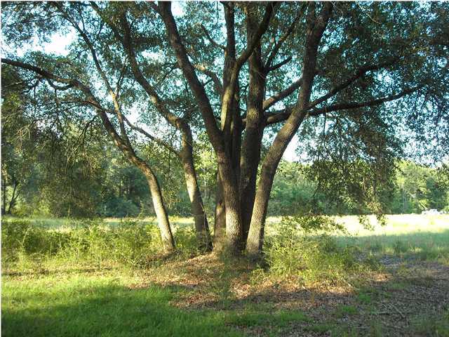 6476 Kilcrease Road Baker, FL 32531 - Photo 1 of 5 Primary Photo