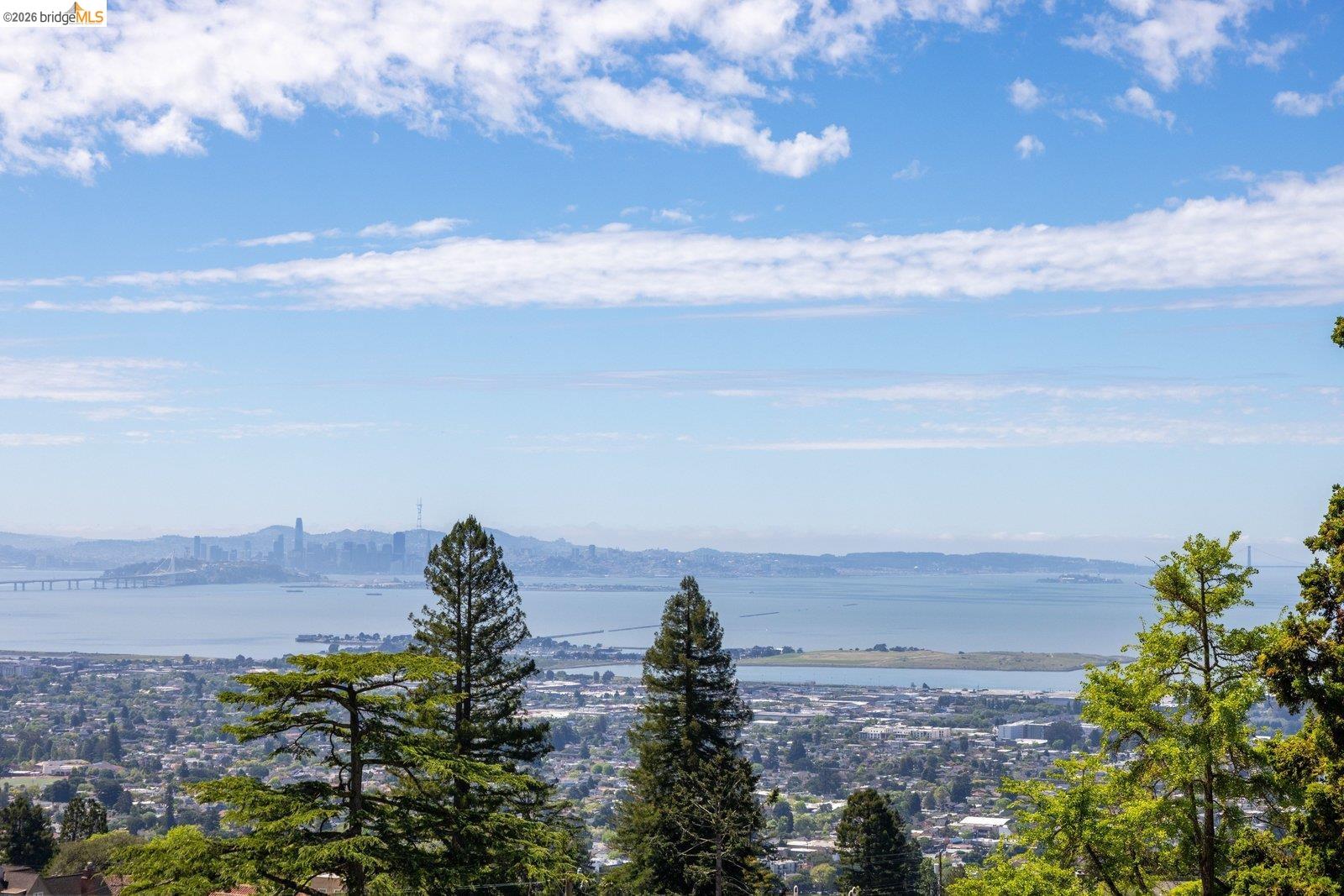 636 Euclid Avenue Berkeley, CA 94708 - Photo 50 of 52