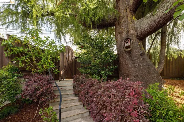 $1,495,000 | 636 Euclid Avenue, Berkeley, CA 94708