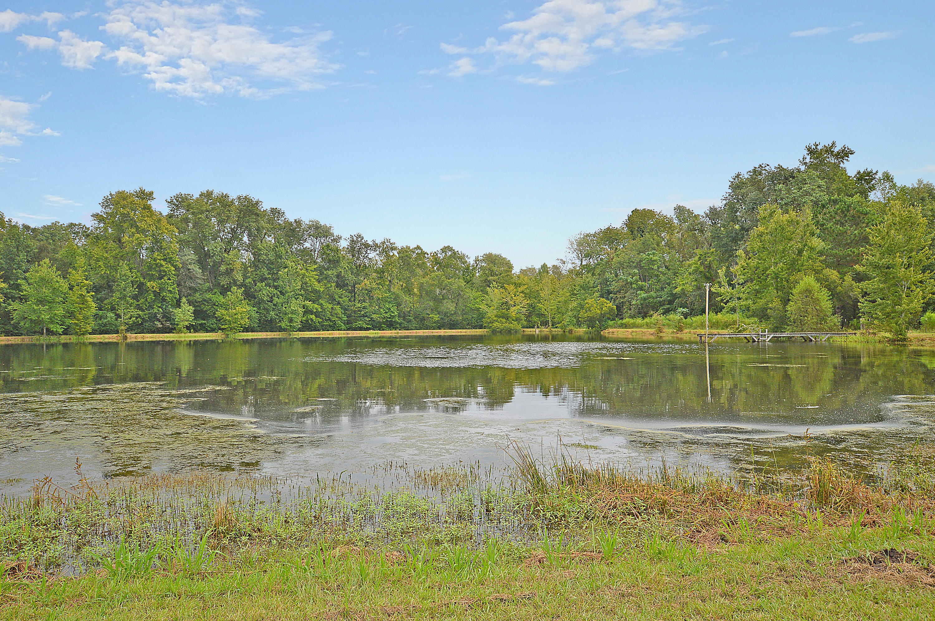 9453 Old State Road Holly Hill, SC 29059 - Photo 30 of 35 DSC_0016 copy