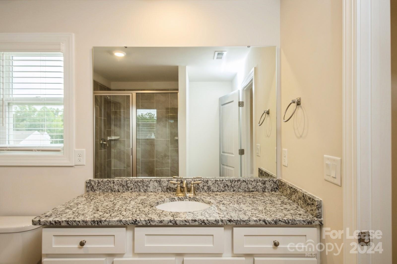 131 Brixham Loop Troutman, NC 28166 - Photo 13 of 26 a bathroom with a granite countertop sink and a mirror
