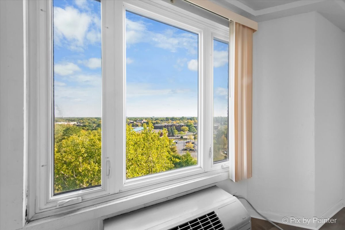 1 Renaissance Place, Unit 1017 Palatine, IL 60067 - Photo 14 of 30 a view of lot of window
