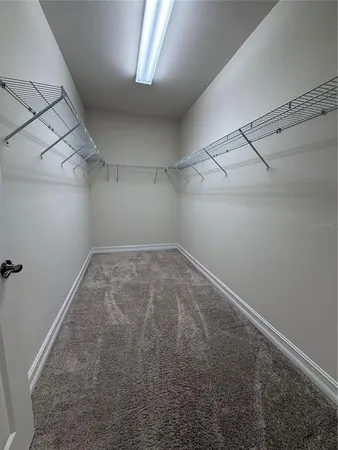 $2,595 | 3237 Painted Blossom Court, Lutz, FL 33558