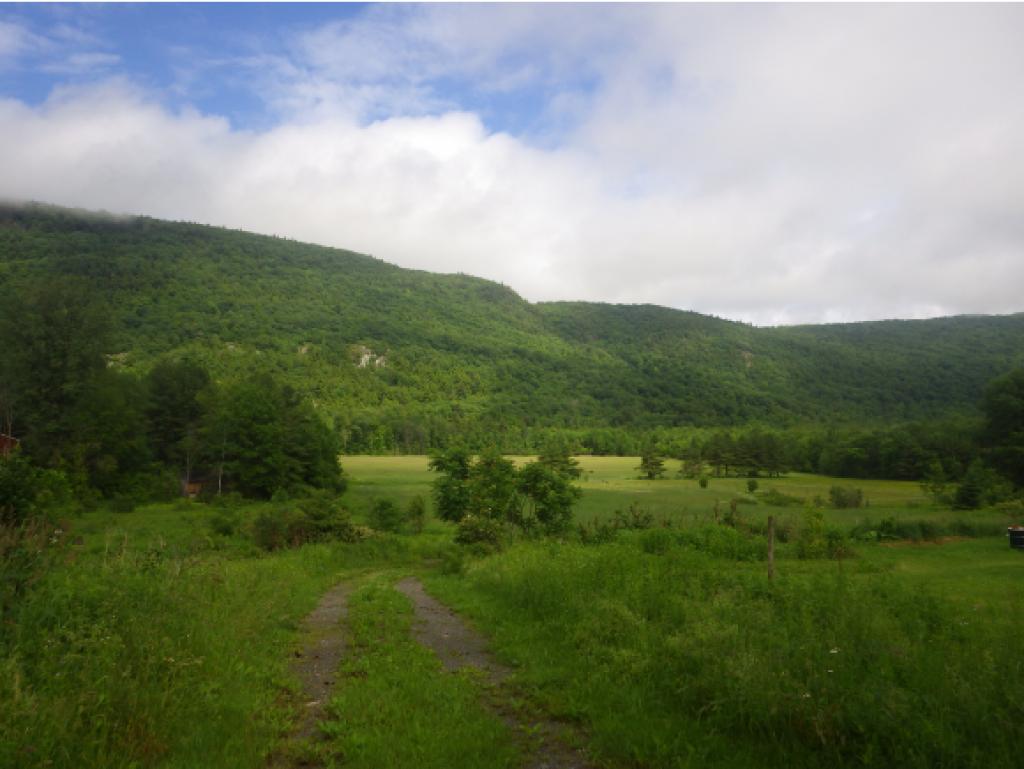 Tbd Mountain Road Bristol, VT 05443 - Photo 1 of 2 Gallery Image 1