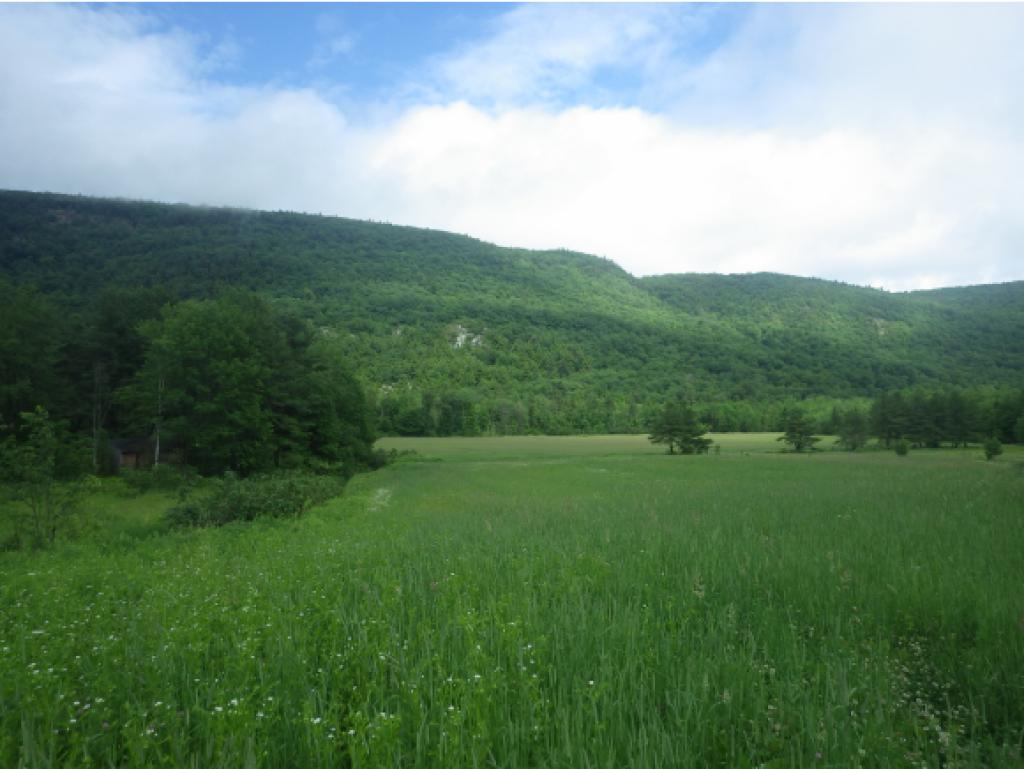 Tbd Mountain Road Bristol, VT 05443 - Photo 2 of 2 Gallery Image 2