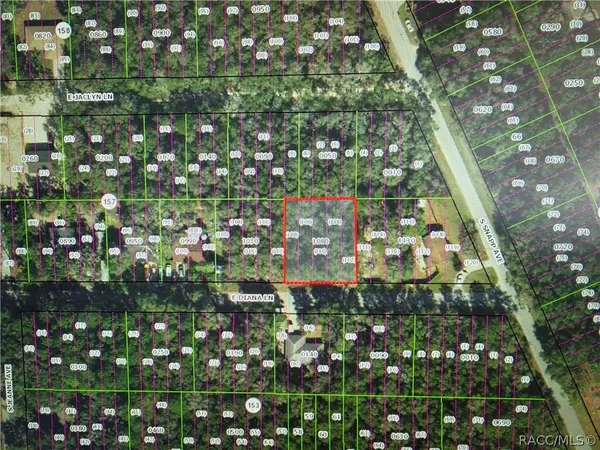$12,500 | 3629 East Diana Lane, Inverness, FL 34453