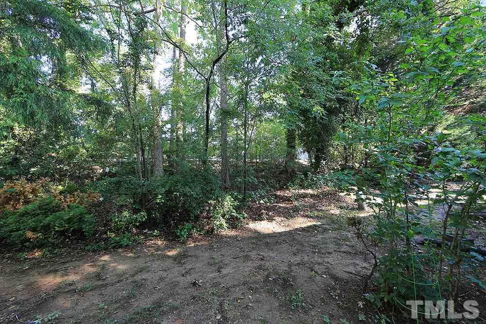 6579 New Market Way, Unit 6579 Raleigh, NC 27615 - Photo 20 of 22 a view of a forest with trees in the background