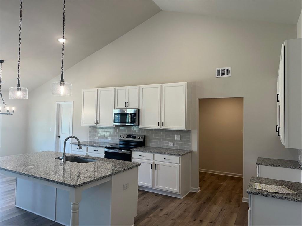 315 Rodeo Drive Auburn, GA 30011 - Photo 8 of 33 a kitchen with kitchen island granite countertop a sink stainless steel appliances and white cabinets