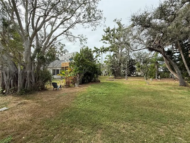 a view of a park with swings and a tree
