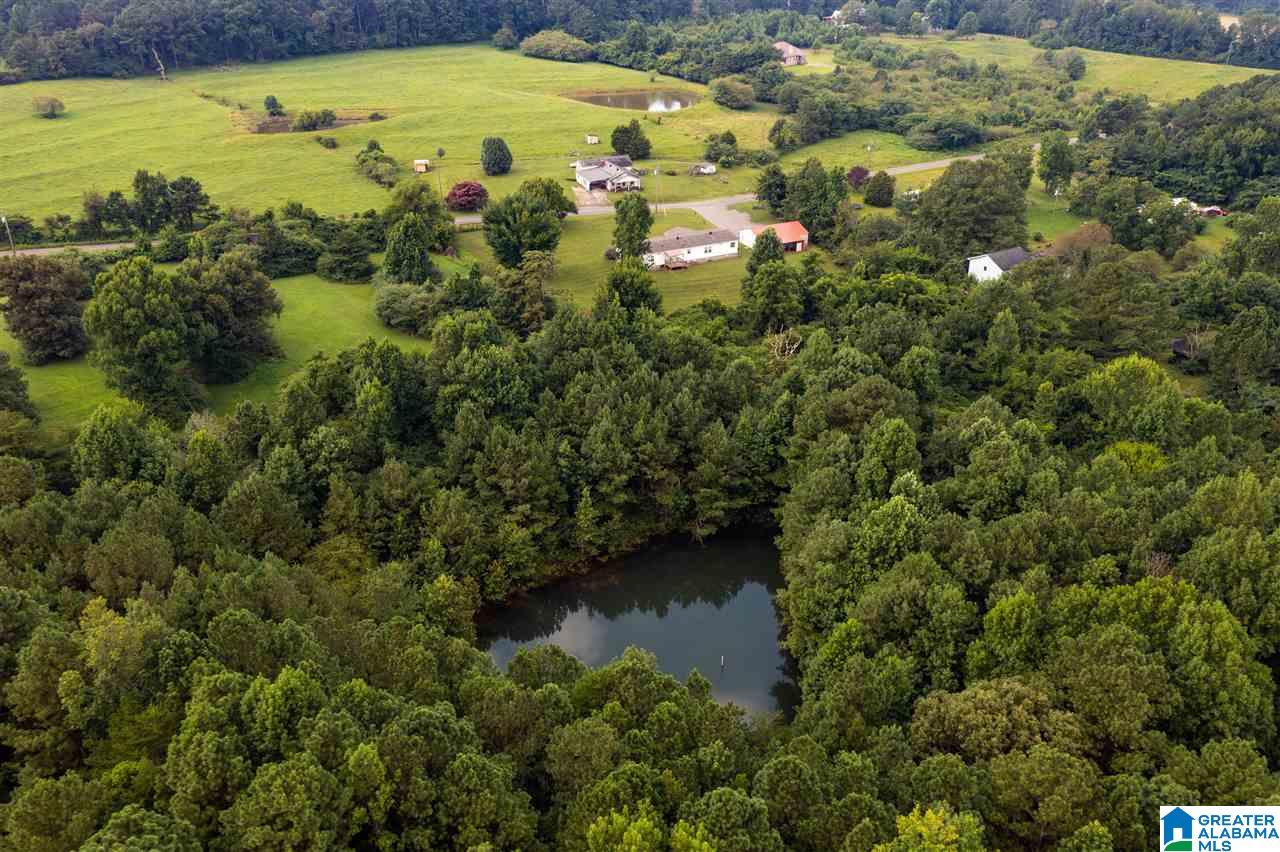 373 County Road 24 Springville, AL 35146 - Photo 2 of 43