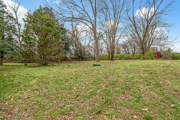 a view of a field with trees