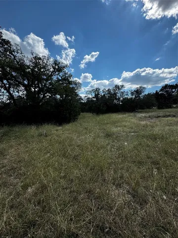 a view of a big yard with lots of green space