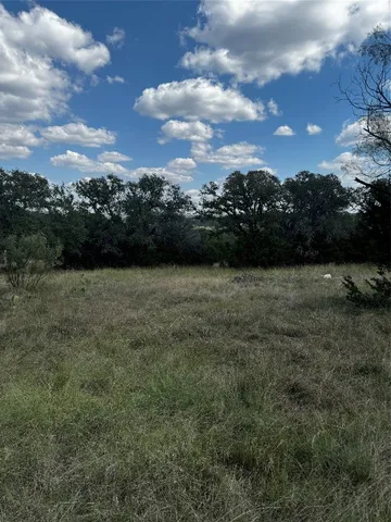 a view of a lush green forest with lots of trees