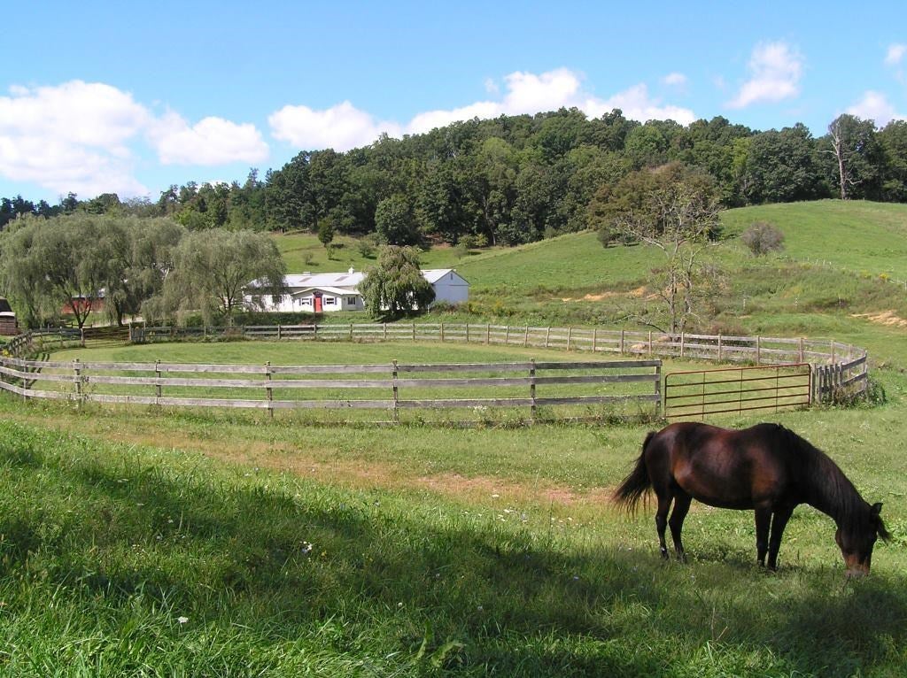 375 Edgewood Road Crockett, VA 24323 - Photo 21 of 35 Gallery Image 21