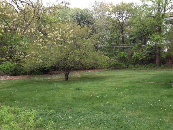 214 Pollard Road Northbridge, MA 01534 - Photo 3 of 15