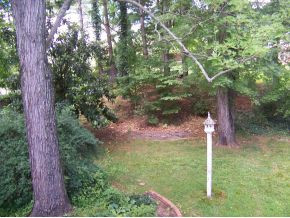 708 Ferndale Road Johnson City, TN 37604 - Photo 17 of 21 Photo 17