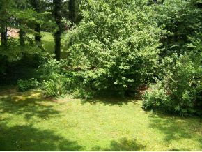 708 Ferndale Road Johnson City, TN 37604 - Photo 18 of 21 Photo 18
