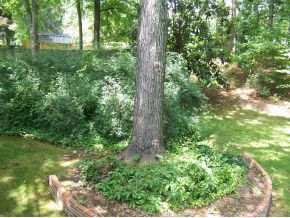 708 Ferndale Road Johnson City, TN 37604 - Photo 19 of 21 Photo 19