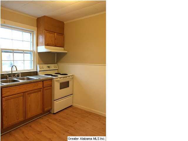 503 5th Street North Oneonta, AL 35121 - Photo 2 of 32