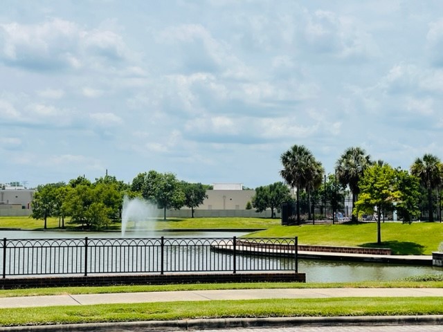 13710 Saxon Cliff Lane Rosharon, TX 77583 - Photo 19 of 20 a view of a swimming pool with a yard
