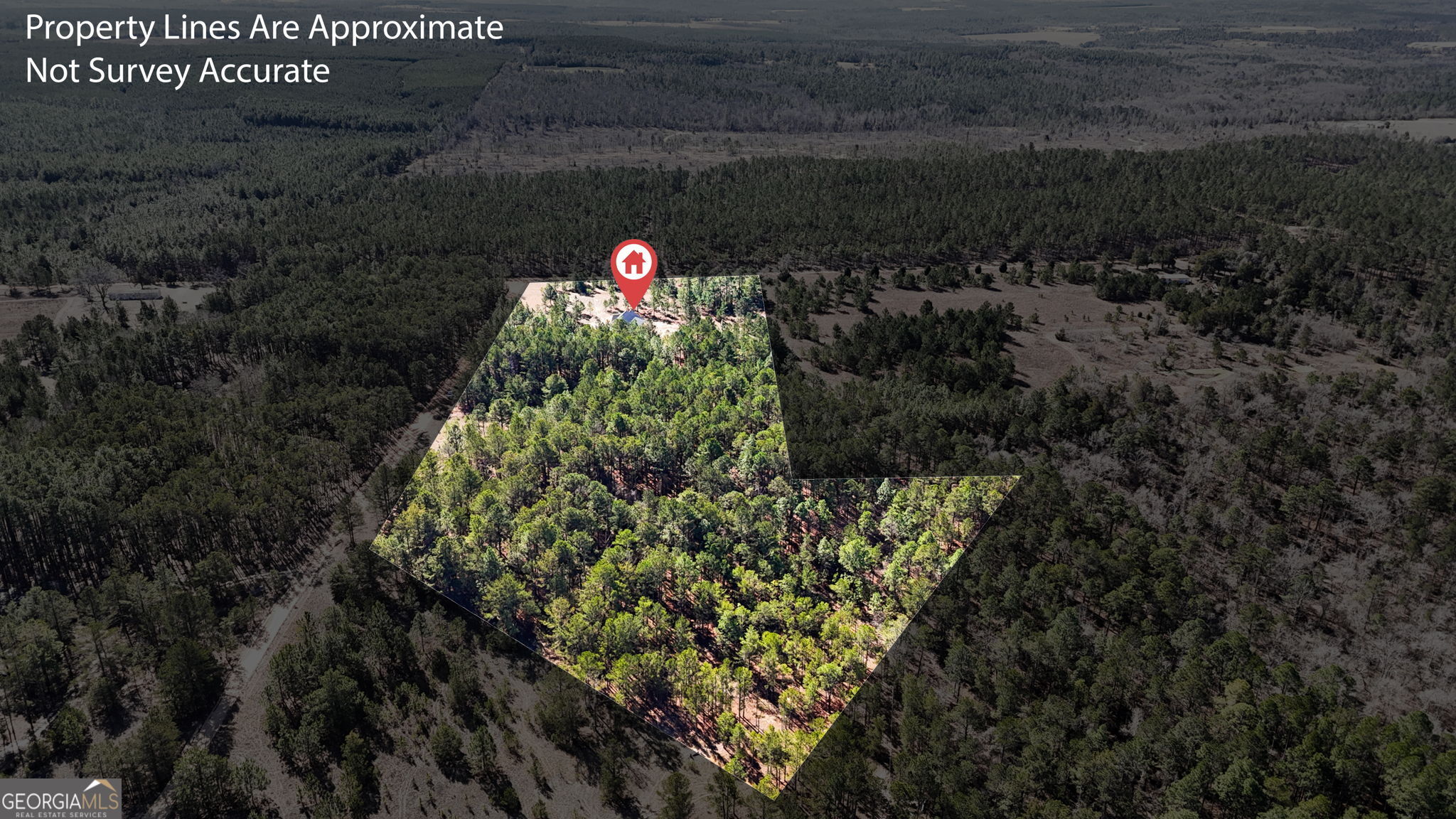 115 Watermelon Lane Mauk, GA 31058 - Photo 44 of 50