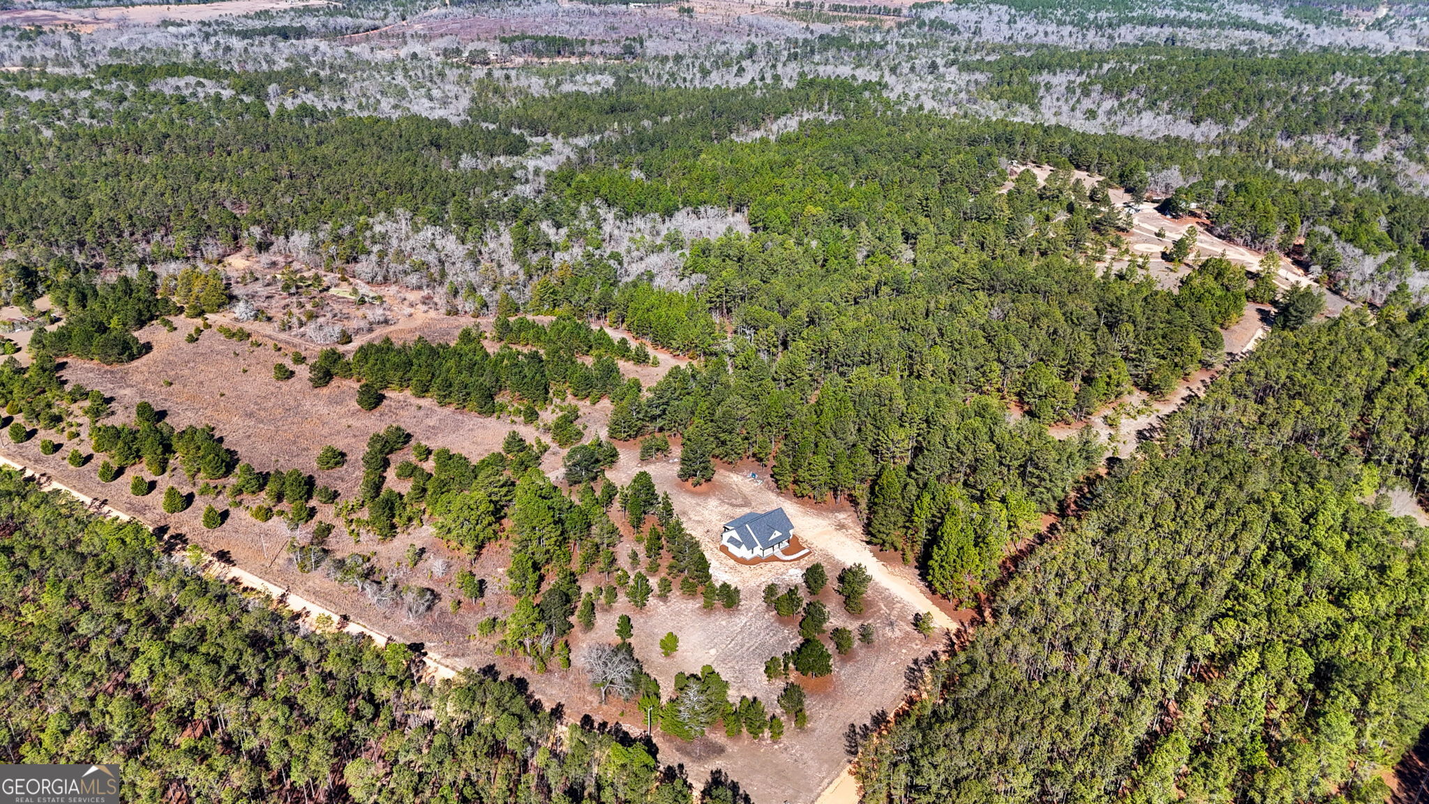 115 Watermelon Lane Mauk, GA 31058 - Photo 45 of 50