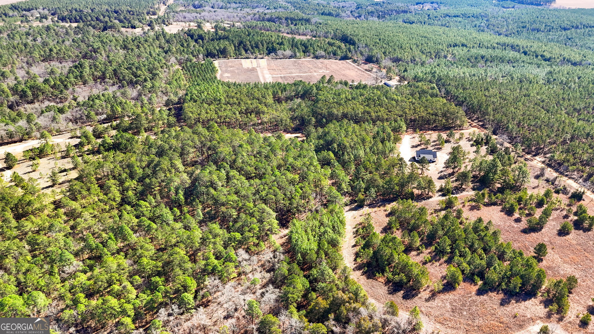 115 Watermelon Lane Mauk, GA 31058 - Photo 47 of 50