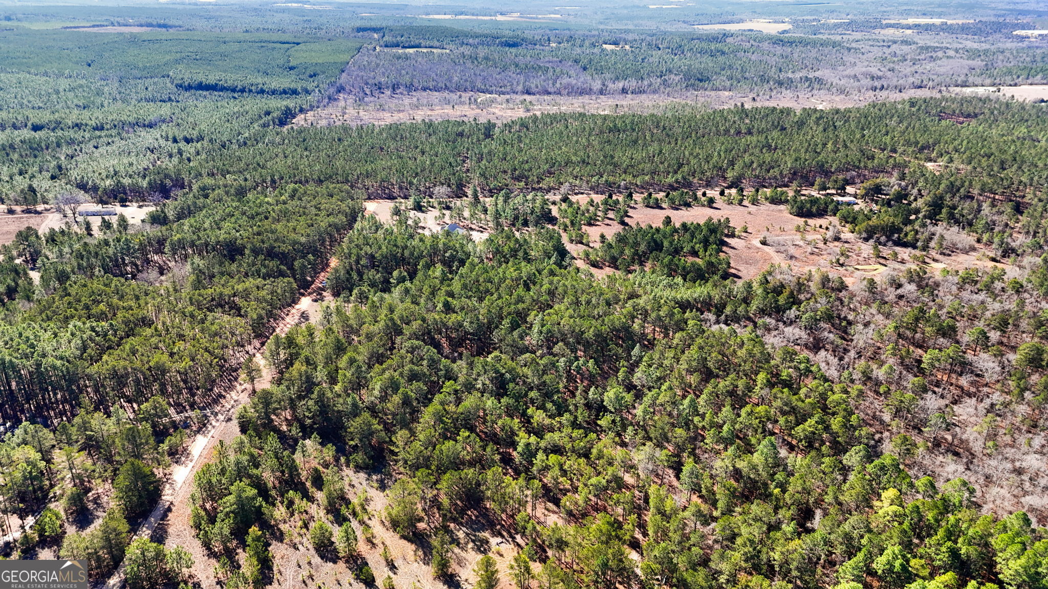 115 Watermelon Lane Mauk, GA 31058 - Photo 49 of 50