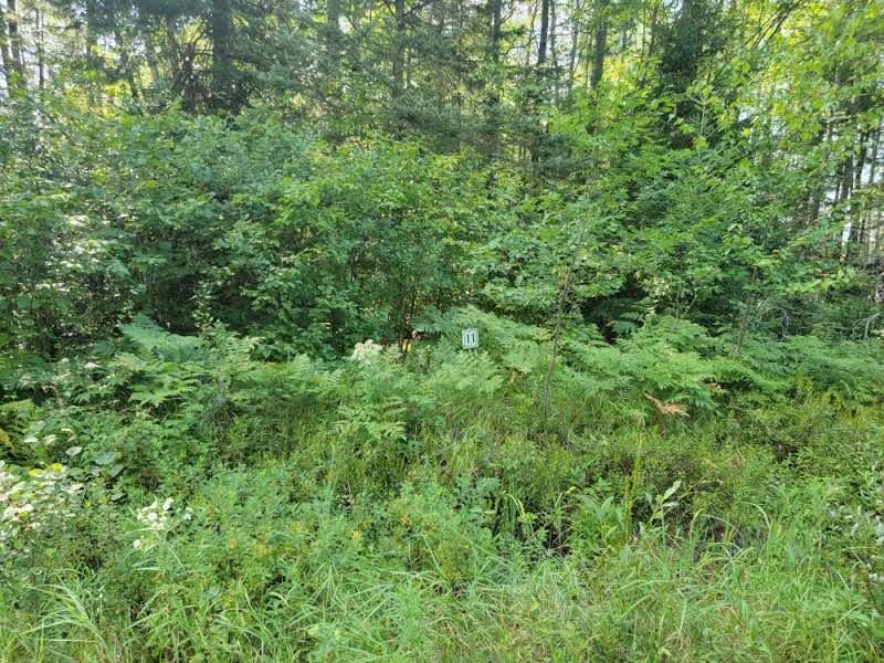 On Loon Lake Road, Unit LOT 11 Eagle River, WI 54521 - Photo 4 of 10 Gallery Image 4