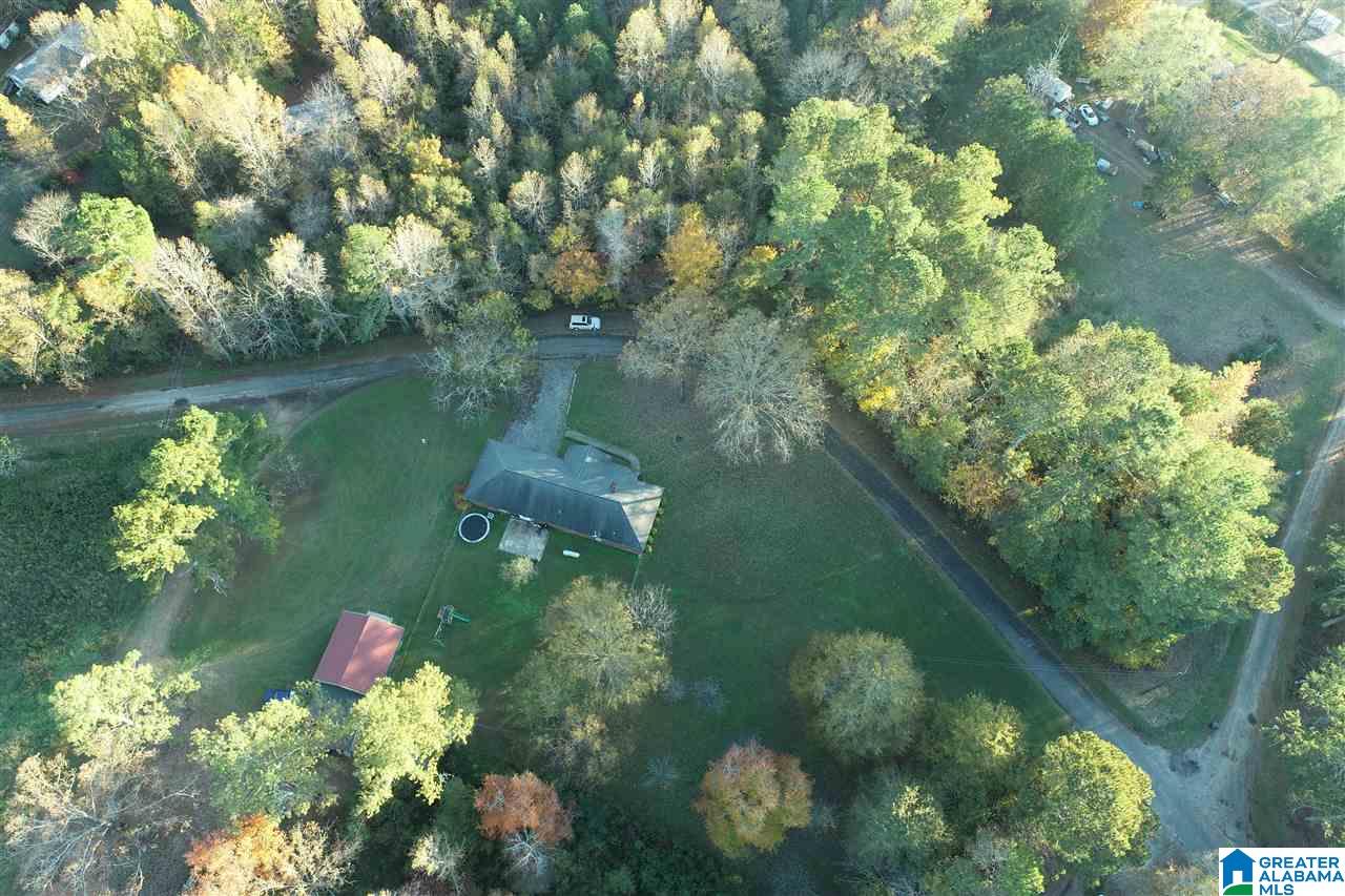 1163 County Road 158 Heflin, AL 36264 - Photo 16 of 18