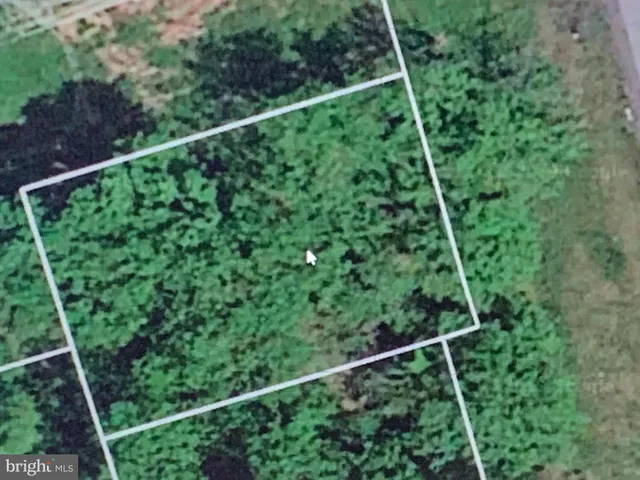 a view of a yard with plants