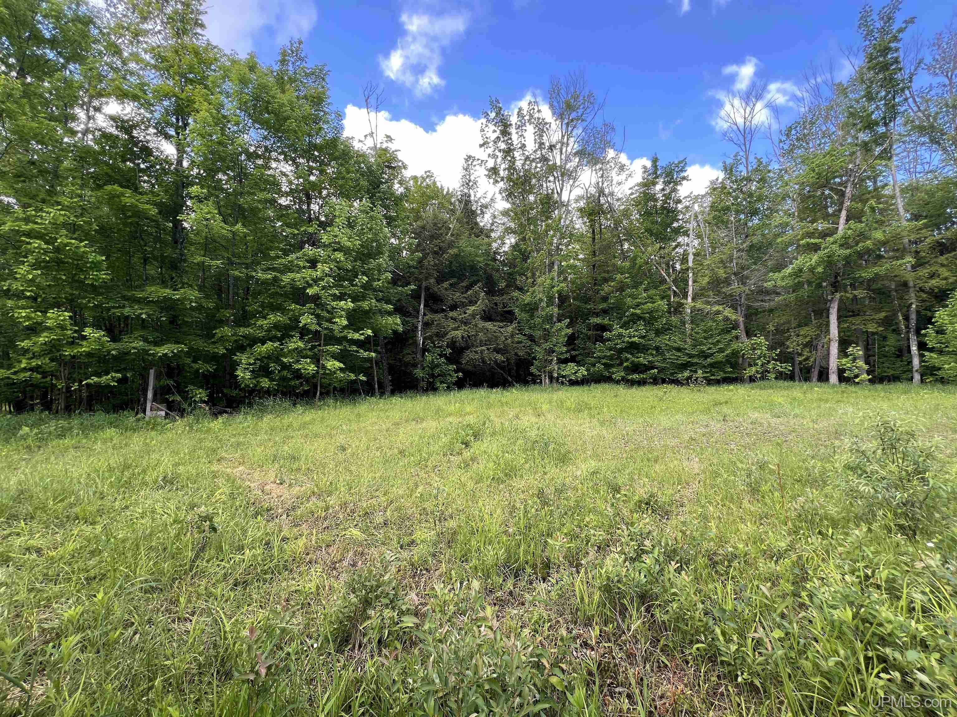 Tbd Roland Lake Road Skanee, MI 49962 - Photo 15 of 18
