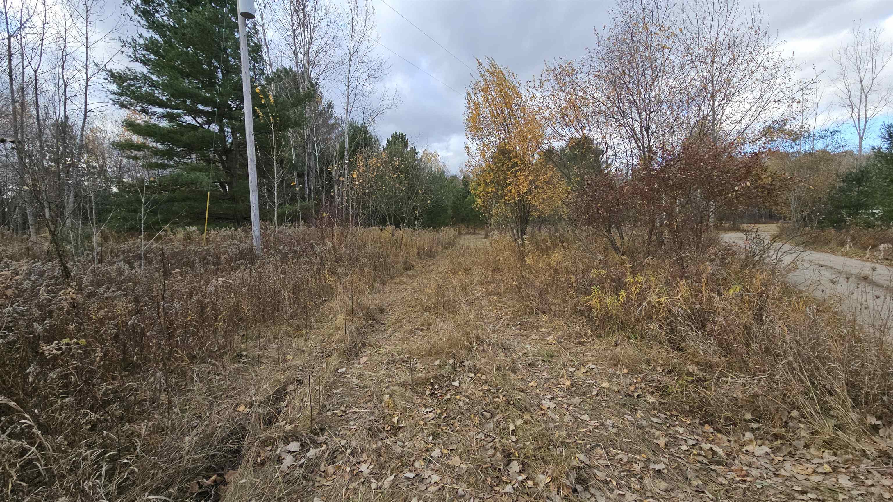 0 Gerald Miller Road West Branch, MI 48661 - Photo 2 of 12 1928453-9743f533-e661-4a82-ab2d-7d570b4c6a98.JPG