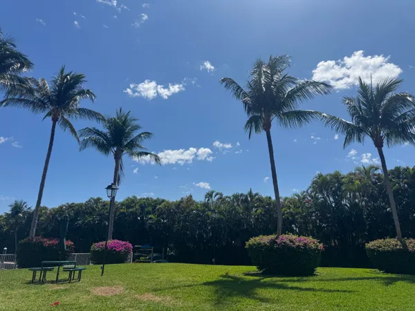 a view of a house with a yard and potted flower