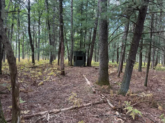 $989,000 | 9283 Willow Road, Bitely, MI 49309