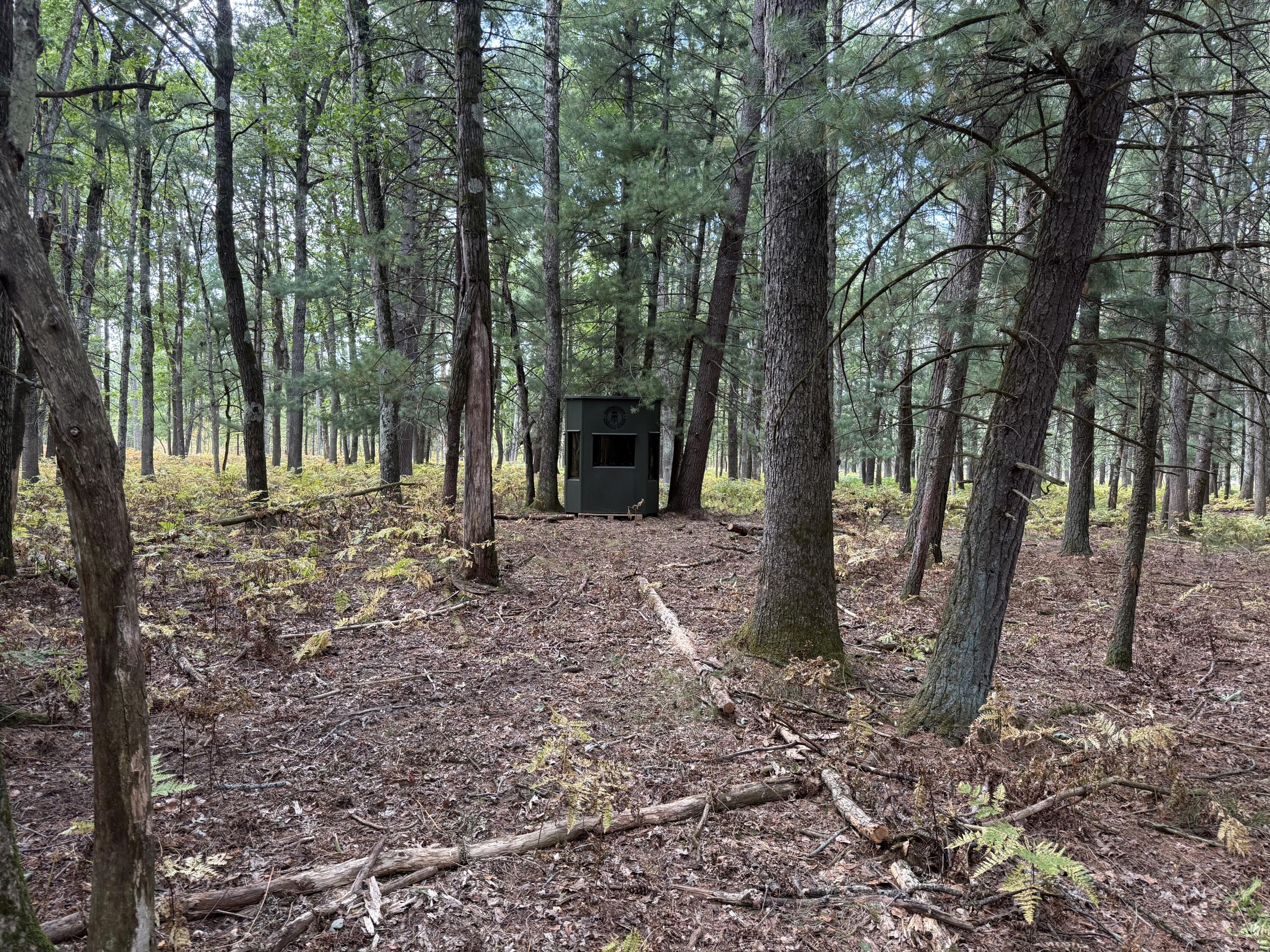 9283 Willow Road Bitely, MI 49309 - Photo 12 of 56 IMG_3091 (1)